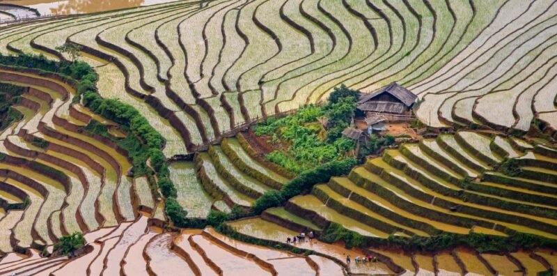 Sapa Bac Ha