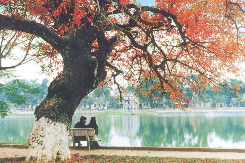 Private Tours Hanoi
