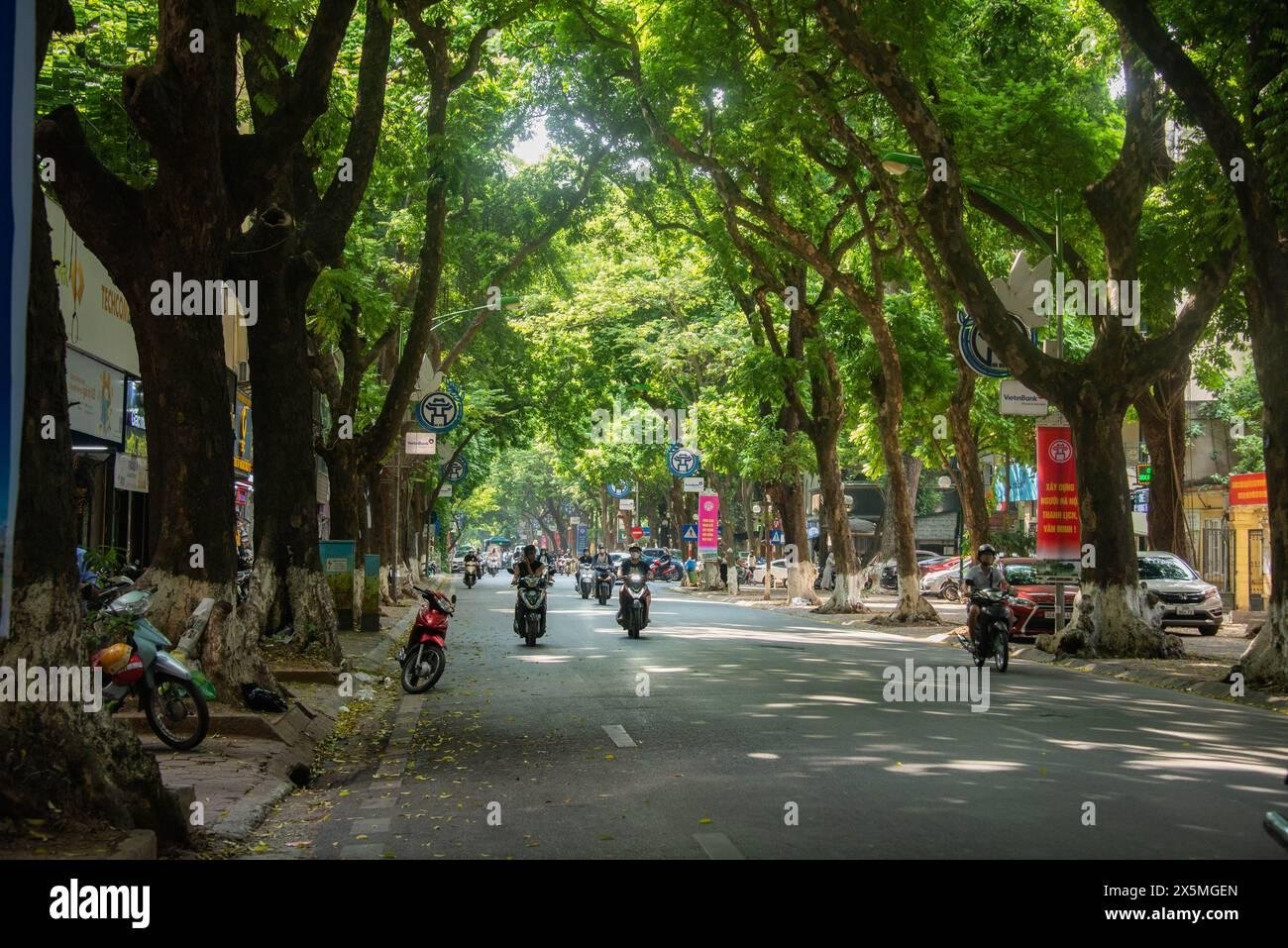 Tree-lined Phan Dinh Phung Street in Hanoi
