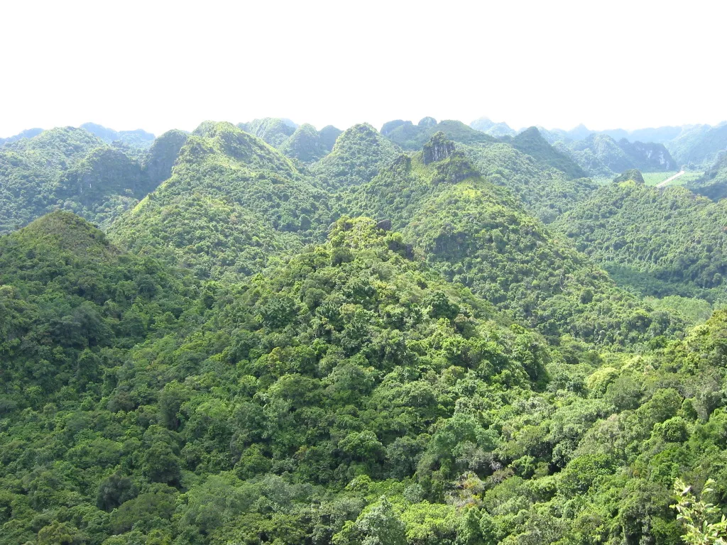 Hanoi - Ha Long Family Heritage Journey 4 days