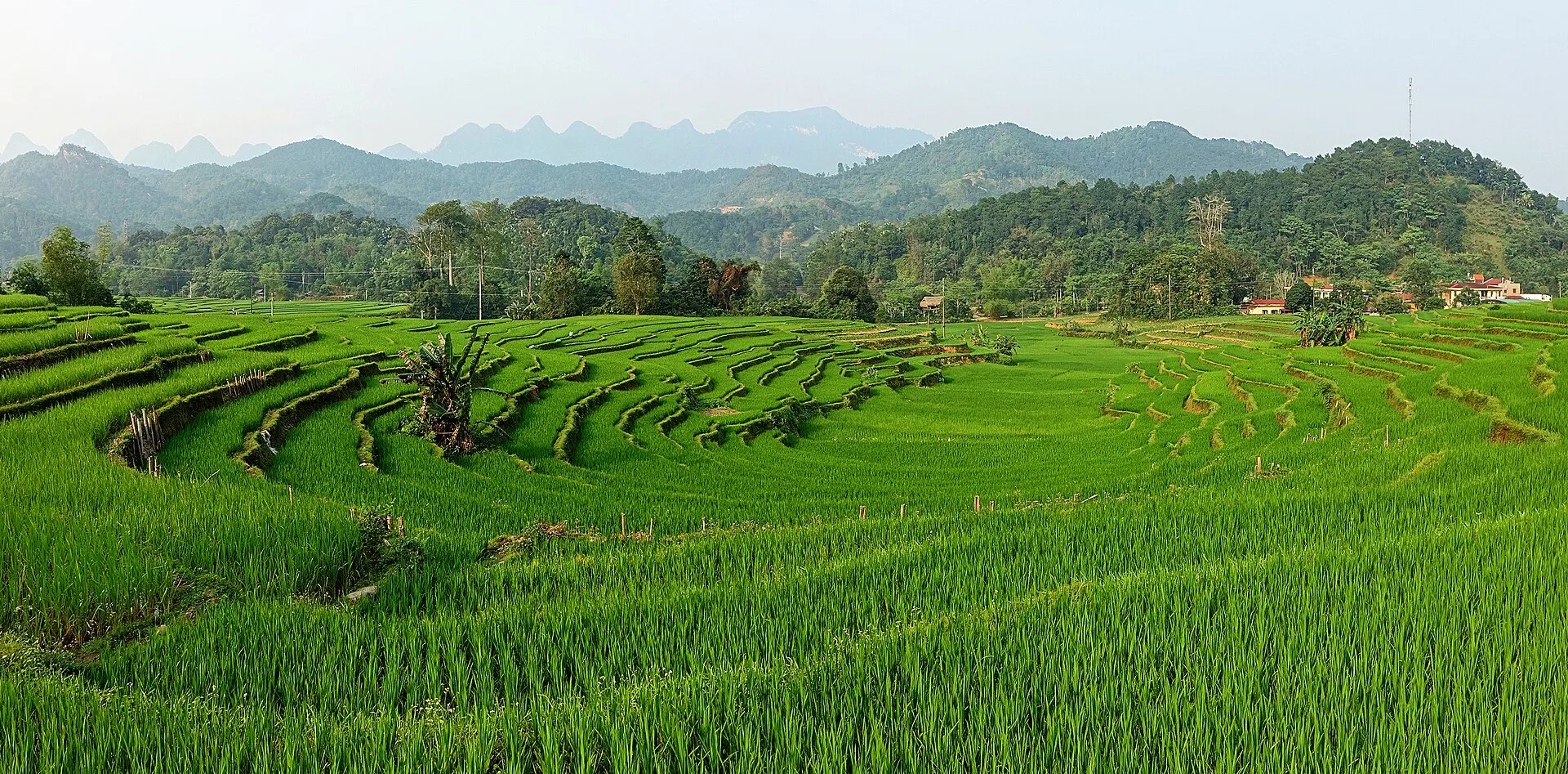 North Vietnam Escape: Sound Healing & Heritage Retreat 9 days