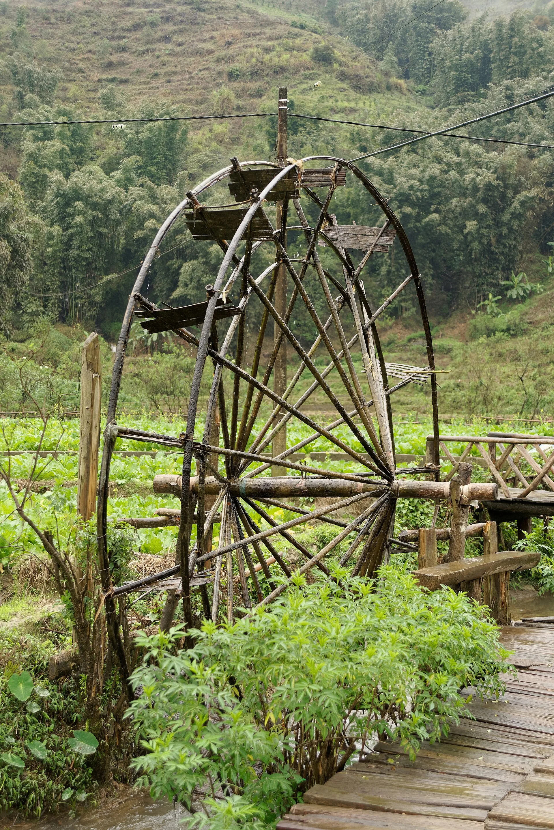 Exciting Mekong Delta Gateway Day Trip