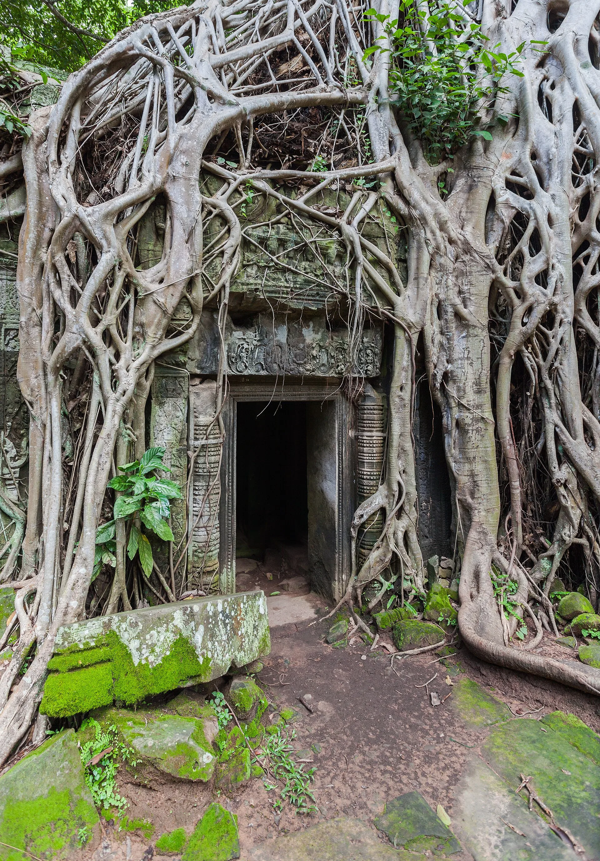 Cambodia Wellness Retreats 7 days