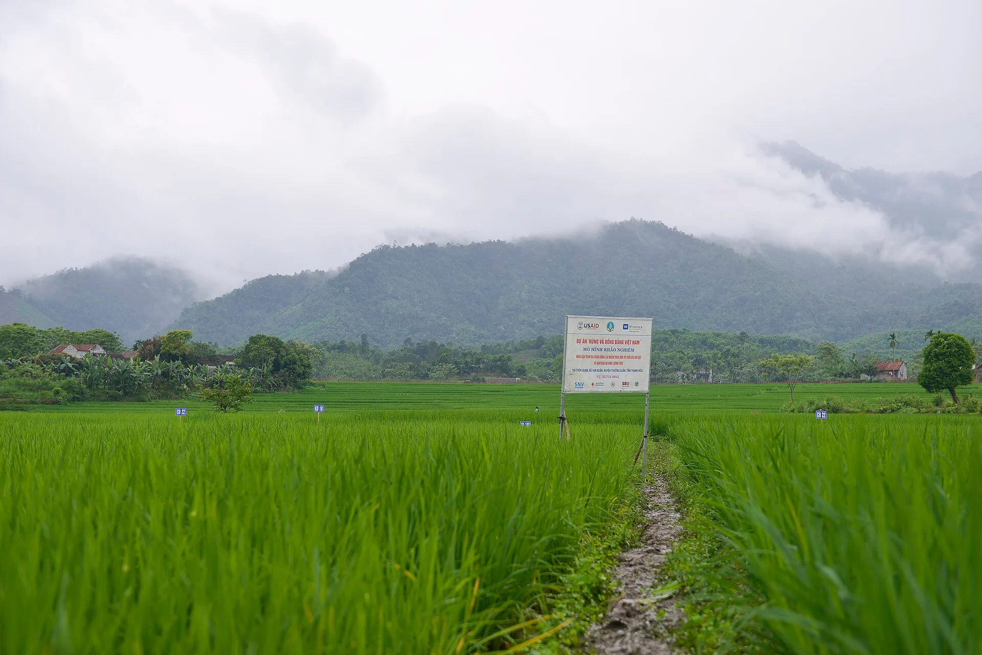 Pu Luong Day Trip from Hanoi