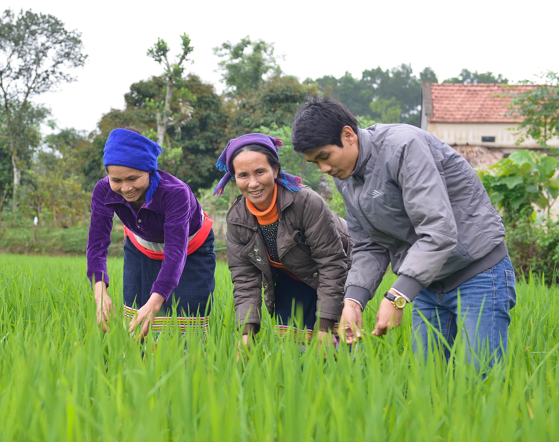 Pu Luong Mai Chau Full Day Tour