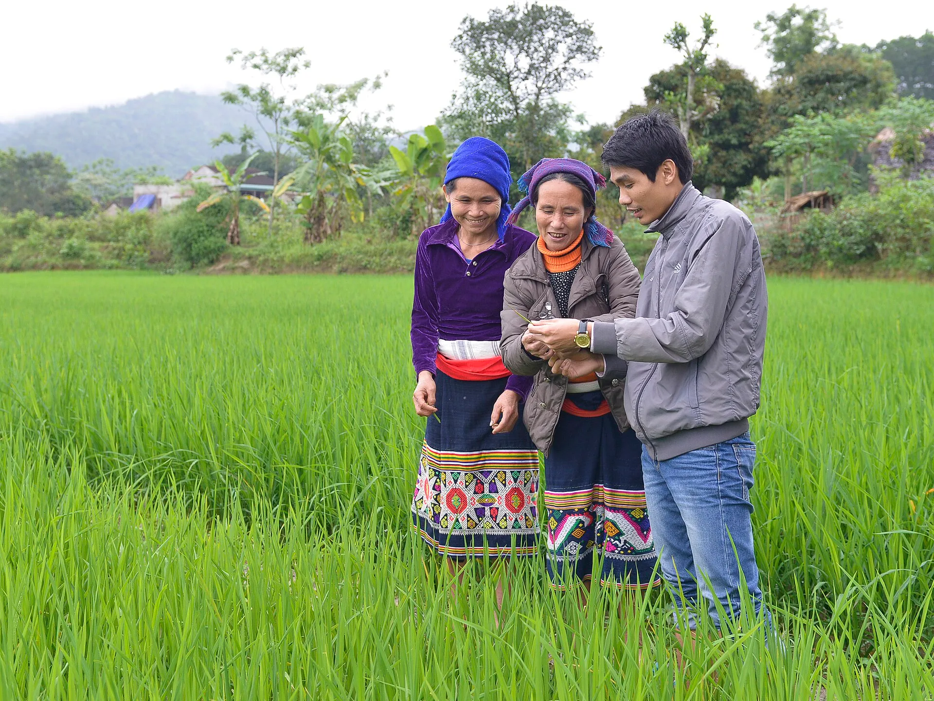 Offbeat Trekking Tour - Pu Luong 2 Days 1 Night