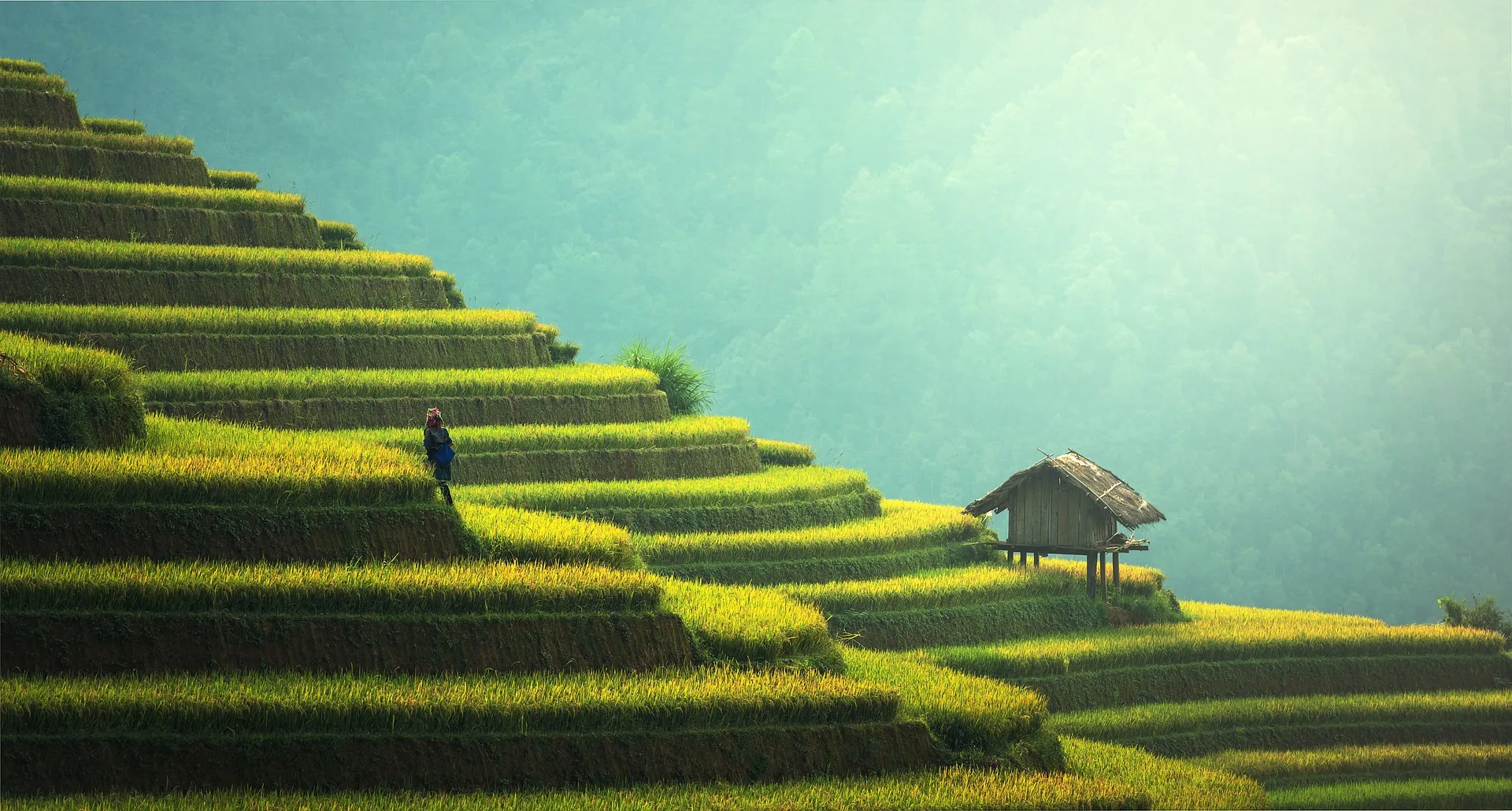 MU CANG CHAI & HALONG BAY