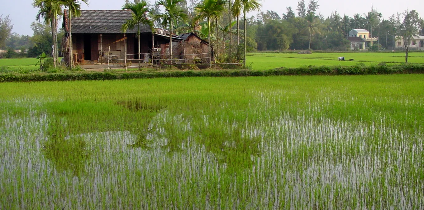 Real Taste of Vietnam - 13 Days