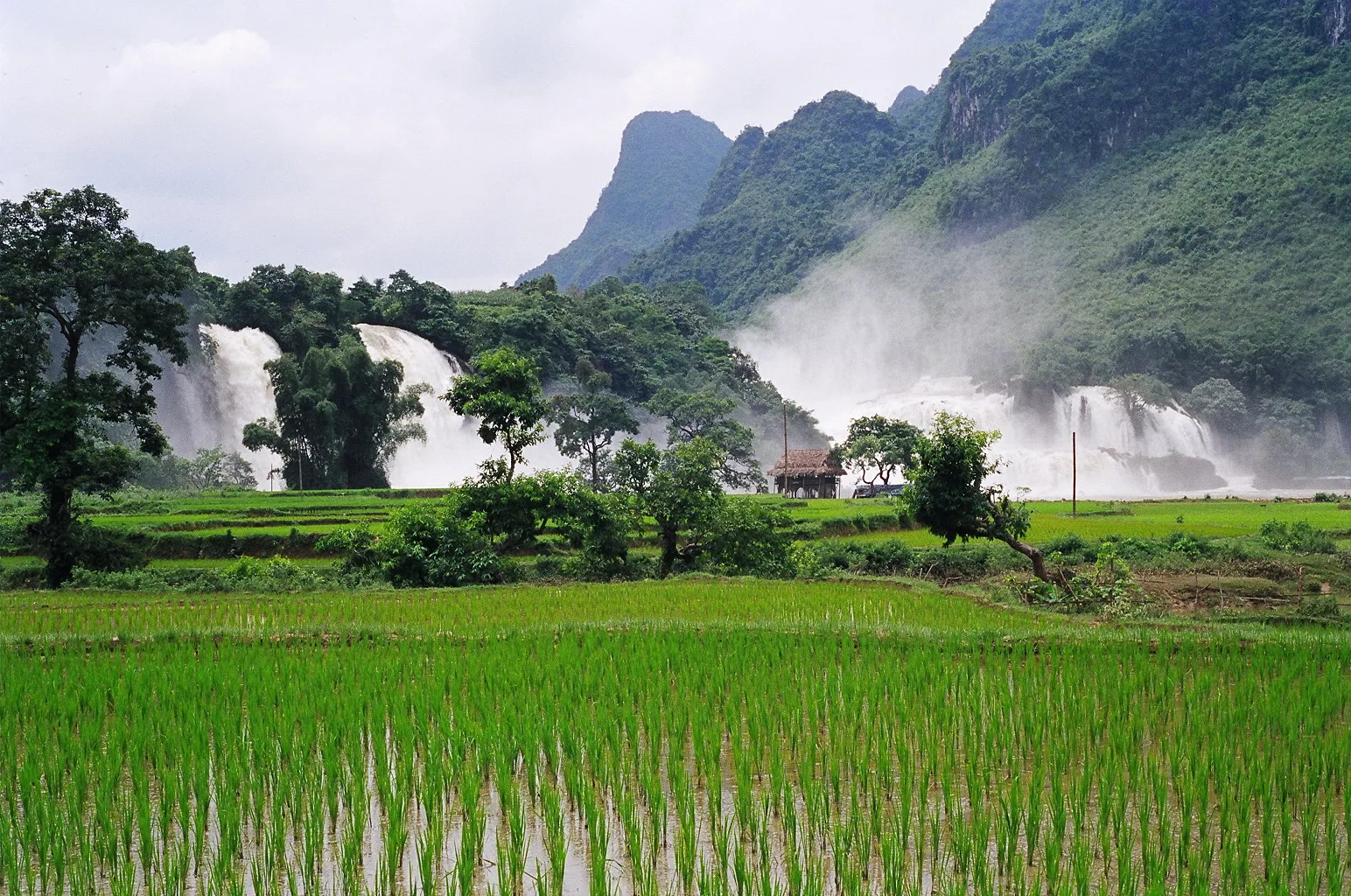 Highlights of Luang Prabang - 6 Days