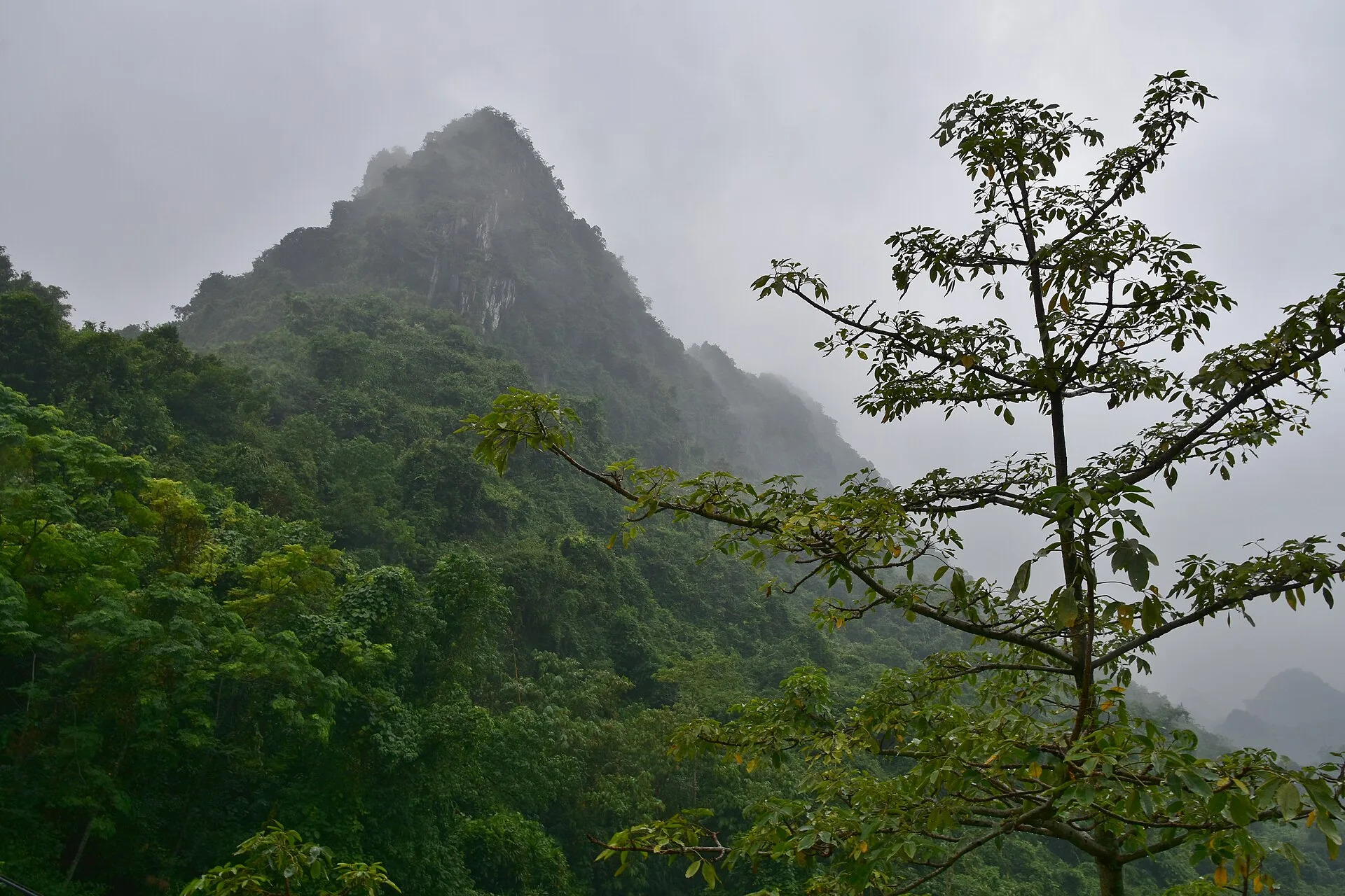 Laos Family Adventure - 10 Days