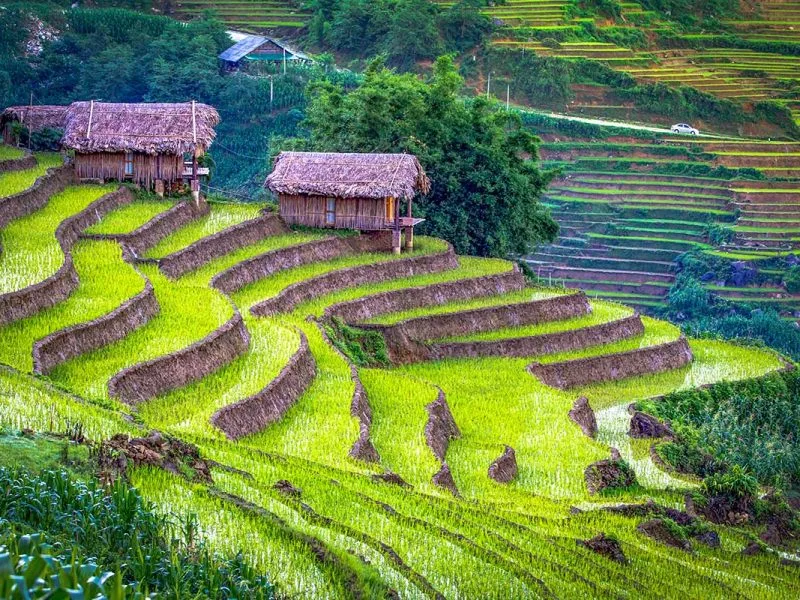 3 Weeks North & Central Vietnam: Natural & Cultural Highlights