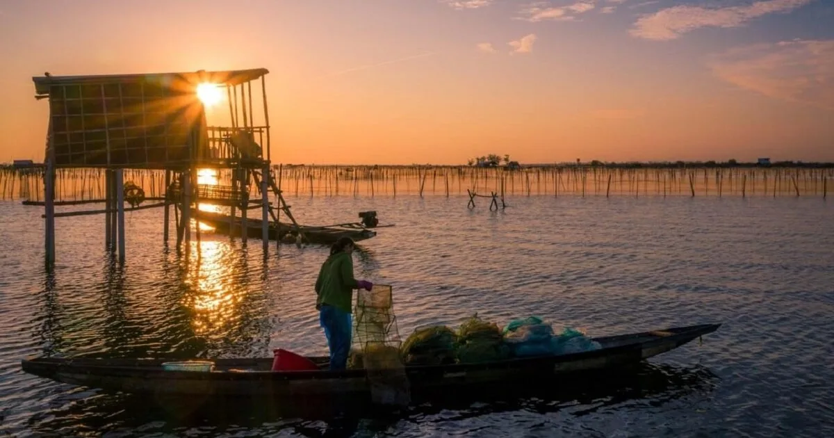 Chuon Lagoon biking & boat trip - Half Day