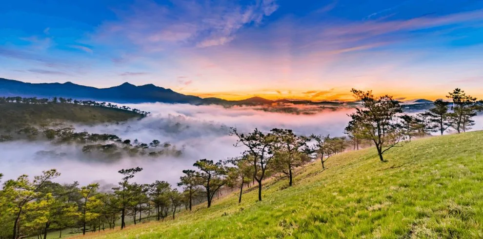Da Lat City Tour - 01 Day