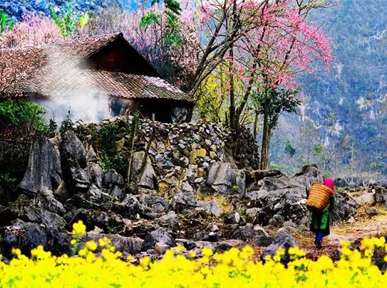 Ha Giang Tour – 3 Days / 4 Nights with a Homestay Experience