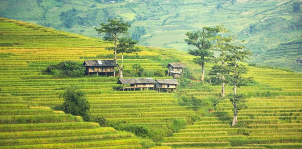 Easy Discover Sapa Holiday | 3 Days Private Tour from Hanoi