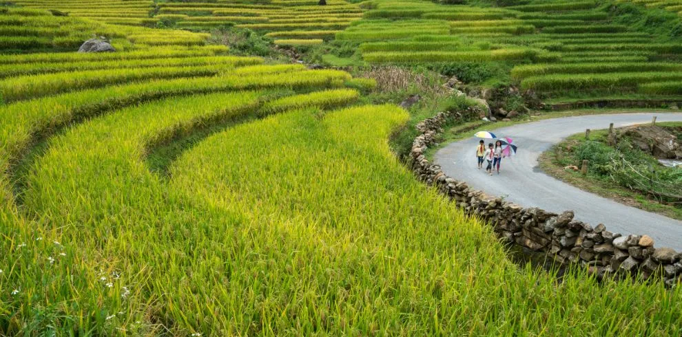 3-Day Easy Sapa Tour from Hanoi – Authentic Ethnic Experience