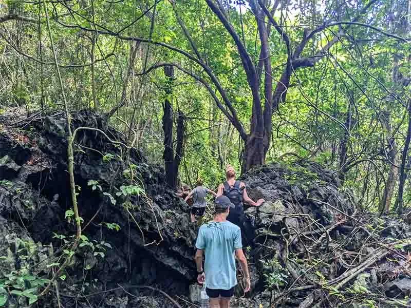 Full Day Hiking Cat Ba National Park