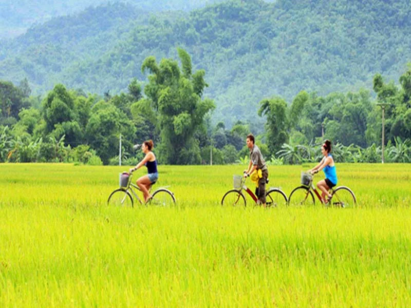 Mai Chau 1 Day Tour: Pom Coong Village & Na Phon Village