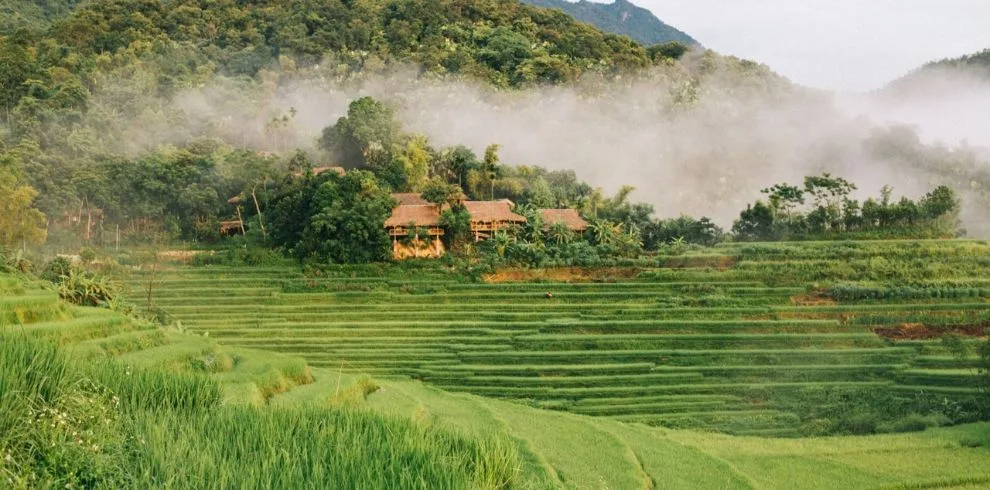 Mekong Delta and Northern Minority Culture | Vietnam Authentic Tour - 14 Days