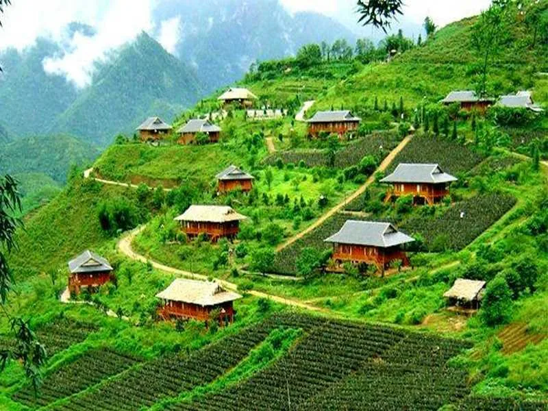 Moc Chau & Sapa 5 Days Tour
