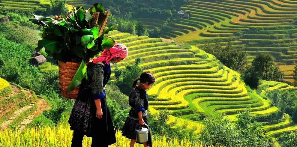 SAPA 2 DAYS 1 NIGHT AT HOMESTAY