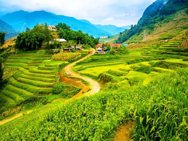 Sapa Terraced Rice Fields & Ethnic Villages Trek 2 days
