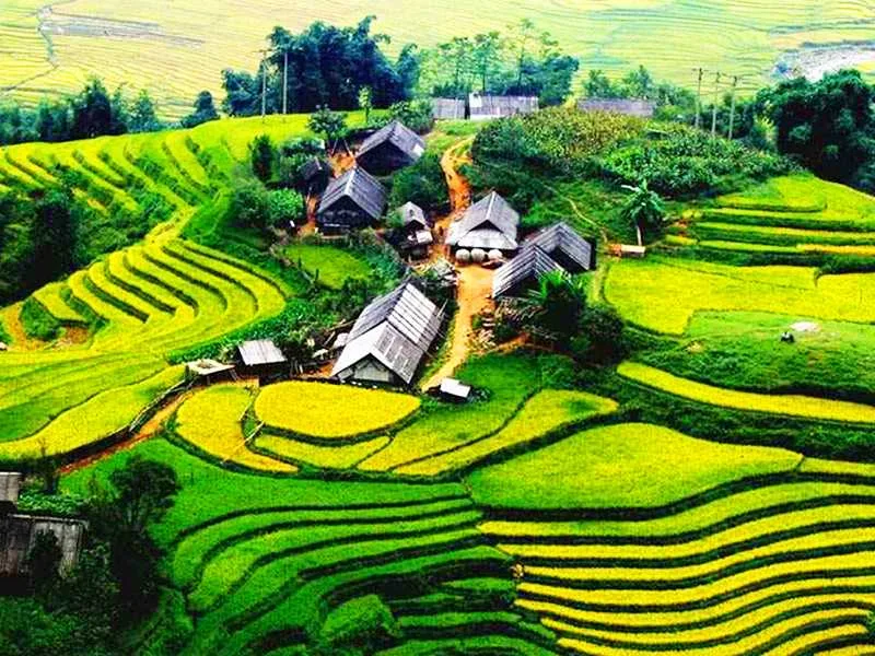 Sapa Tours