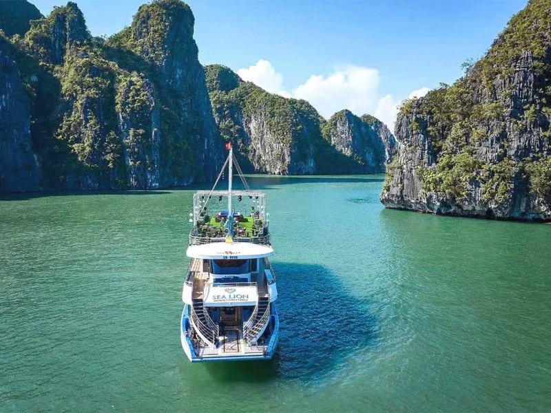 Sea Lion Cruise: 5-Star Halong Bay Day Tour