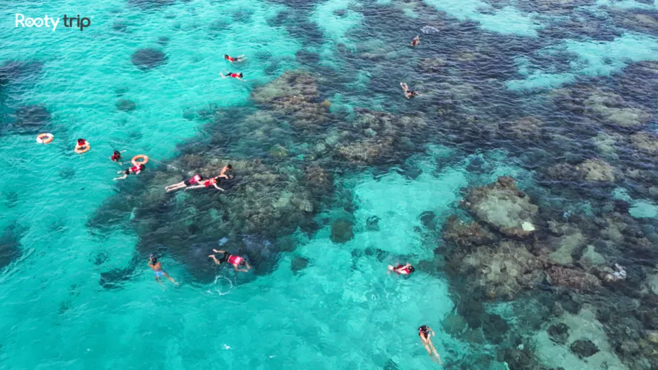Snorkeling – Cable Car 1-Day Phu Quoc Tour (Max of 14 per group)