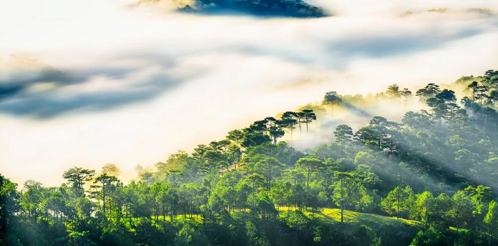 Tea & Coffee Tour in Da Lat