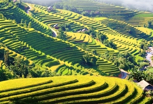 Ha Giang & Hoang Su Phi Tour – 2 Days / 3 Nights