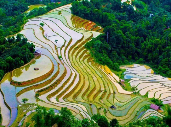 Tour Ha Giang Hoang Su Phi