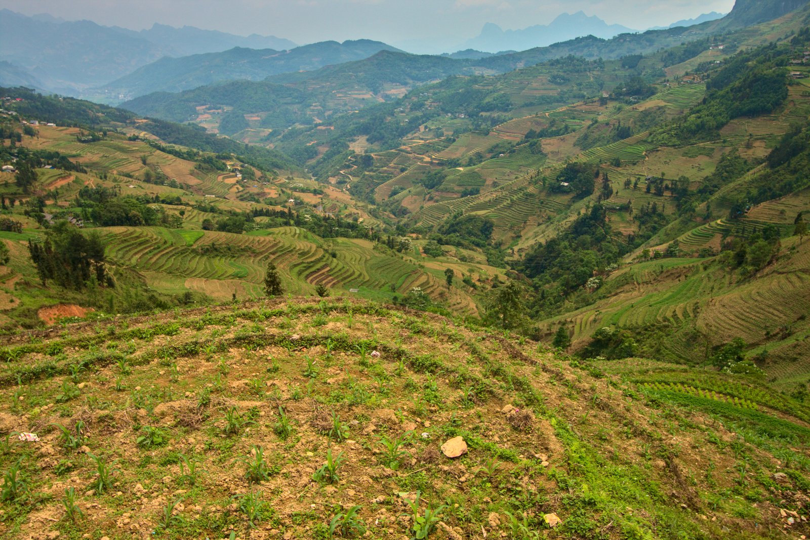 Dramatic limestone karst landscape and winding roads of the Ha Giang Loop, Vietnam