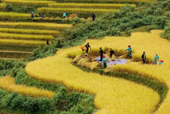 Best time to visit Vietnam & weather-12