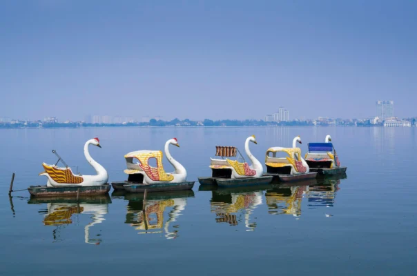 Swan Pedalo