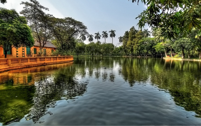 Carp pond on the grounds of the palace