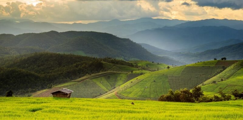 Mai Chau
