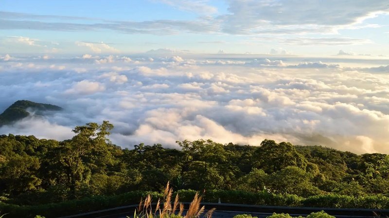Day Trips from Hanoi