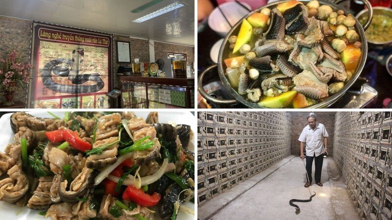 Day Trips from Hanoi