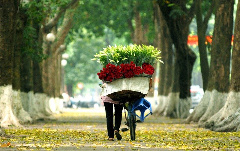 Halong Bay to Hanoi