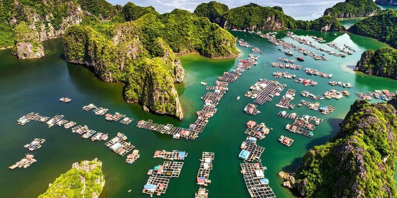 Halong Bay Day Trip from Hanoi