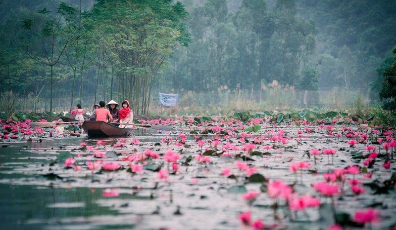 Perfume Temple Hanoi