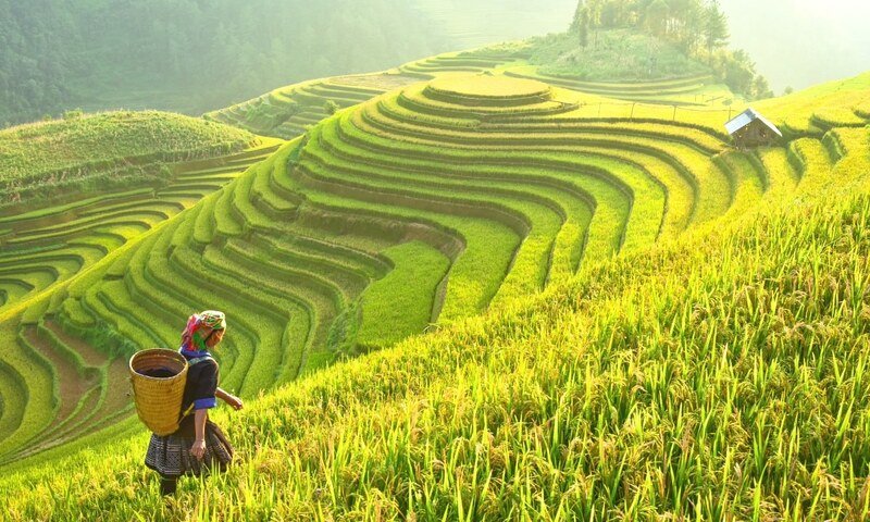 Best Travel Agency Hanoi