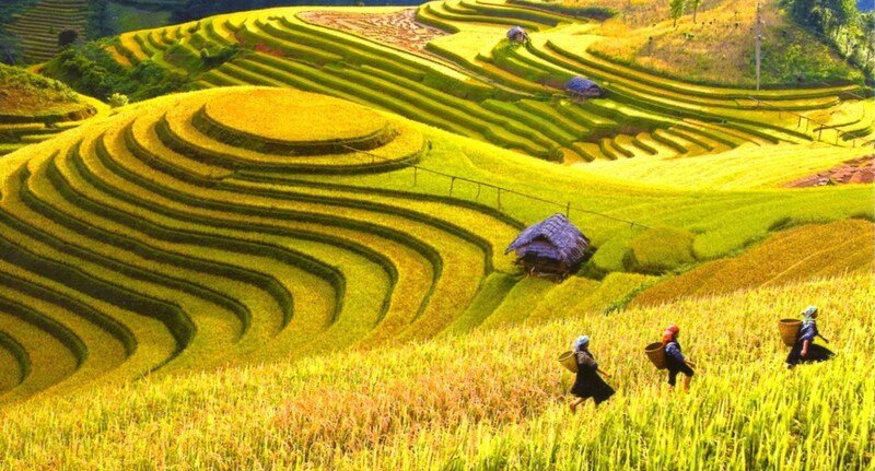 Hanoi to Mu Cang Chai