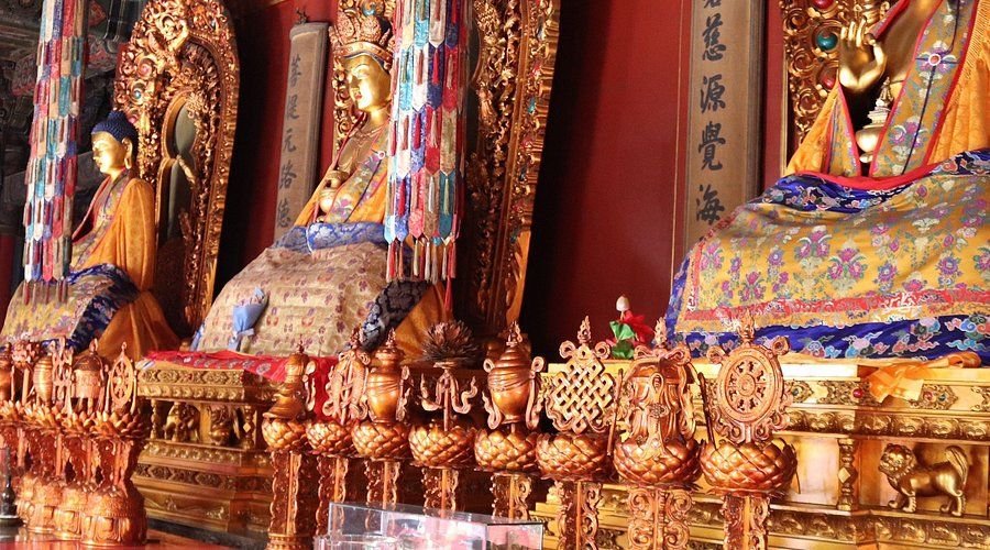 Buddhist monks preparing vegan feast for temple ceremony