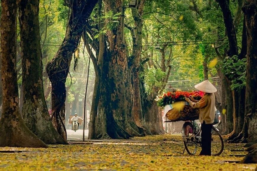 Cyclist riding through Hanoi during autumn with golden light and moderate temperatures