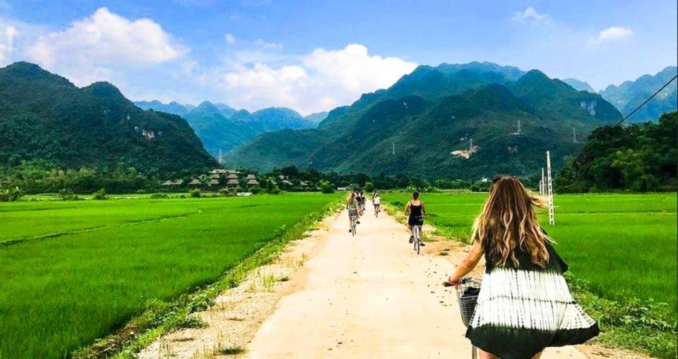 Cycling through emerald rice paddies near Hanoi