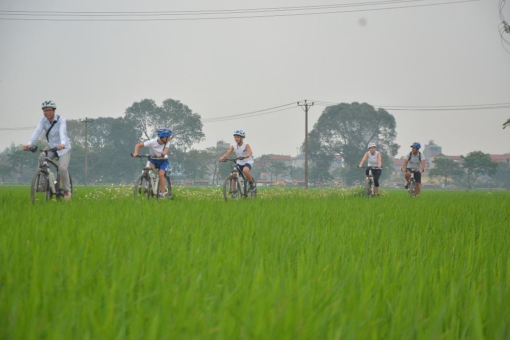 Vintage bicycle tour in Hanoi countryside with rice fields