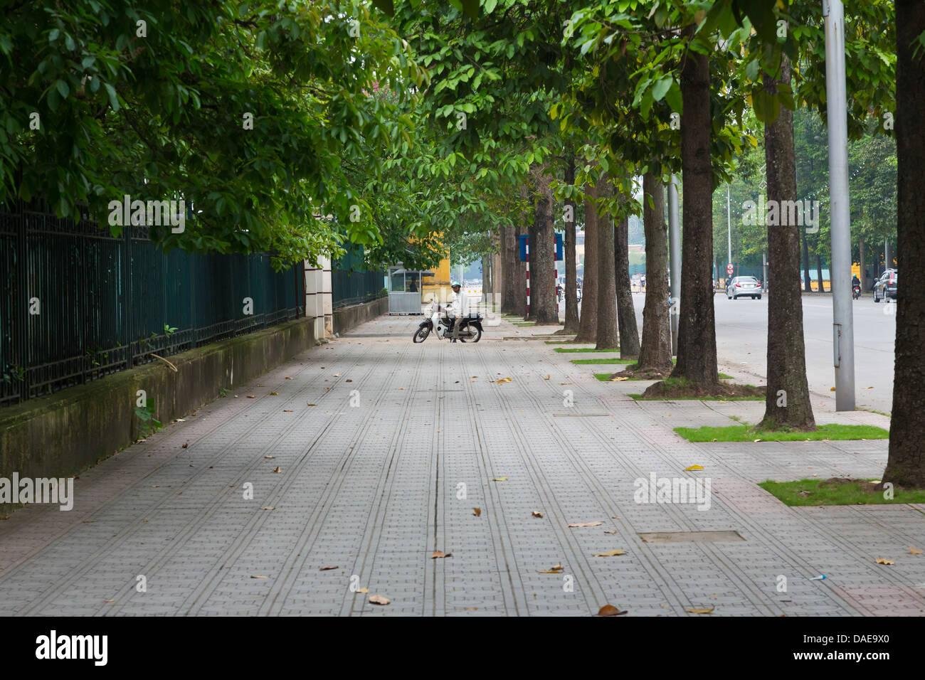 Tree-lined boulevard in Hanoi French Quarter