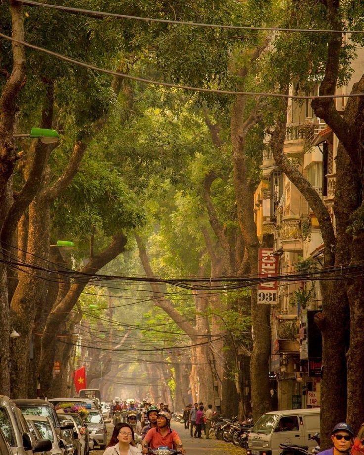 Beautiful tree-lined street in Hanoi French Quarter